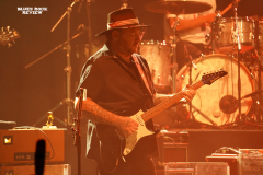 bonamassa17