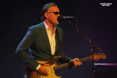 bonamassa7
