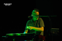 wille2