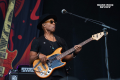 fishbass