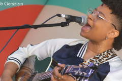 Waterfront Blues Festival 2023